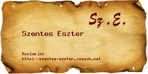 Szentes Eszter névjegykártya